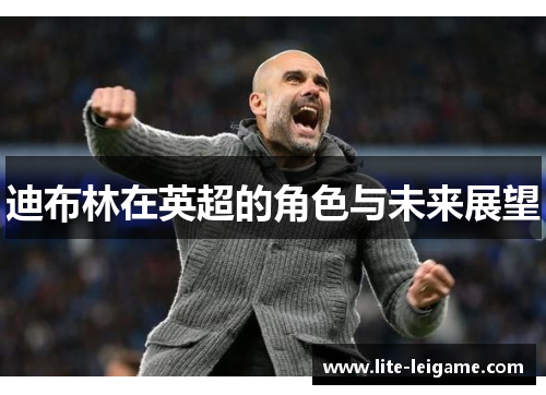 迪布林在英超的角色与未来展望 迪布林在英超的角色与未来展望